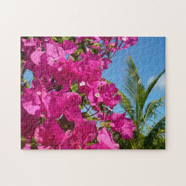 Bougainvillea und Palmen Tropische Natur (Horizontal)