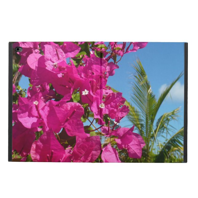 Bougainvillea und Palmen Tropische Natur (Außenansicht)