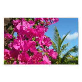 Bougainvillea und Palmen Tropische Natur Fotodruck