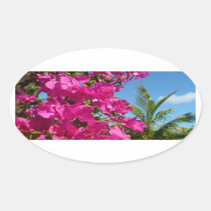 Bougainvillea und Palmen Tropische Natur Ovaler Aufkleber