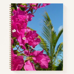 Bougainvillea und Palmenbaum tropische Naturszene Notizbuch