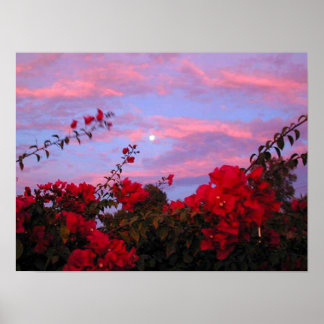 Bougainvilleas und Vollmond bei Sonnenuntergang Poster