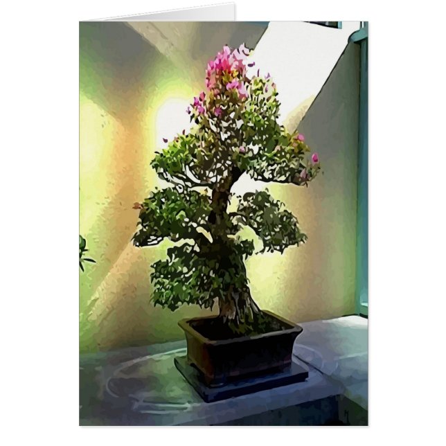Bougainvilliers Bonsai Tree (Devant)