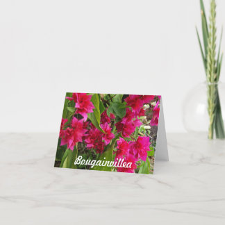 Bouganvilla Notecards Karte