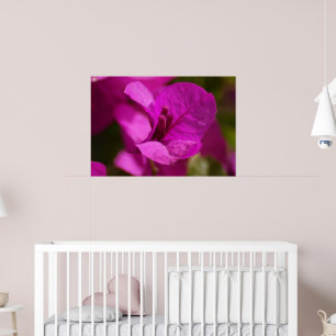 Bouganvilla-Schönheit Poster
