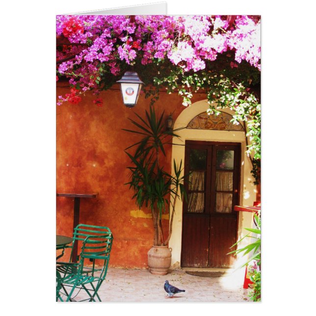 Bouganvilla wachsend außerhalb eines Hauses, (Vorne)