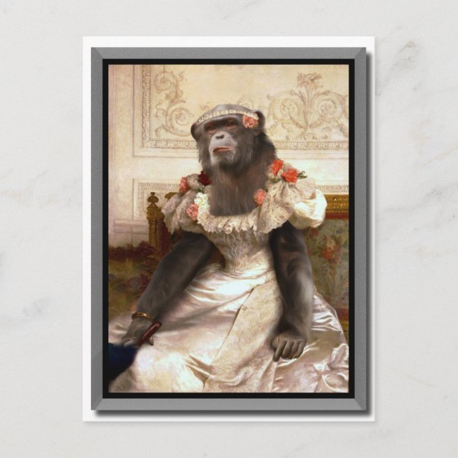 Bouguereau Gown de Chimp Cambaceres Postkarte (Vorderseite)