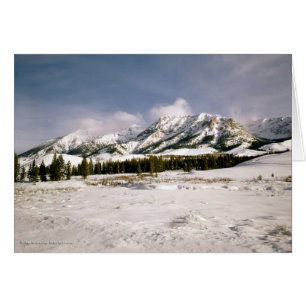 Boulder-Mountain View