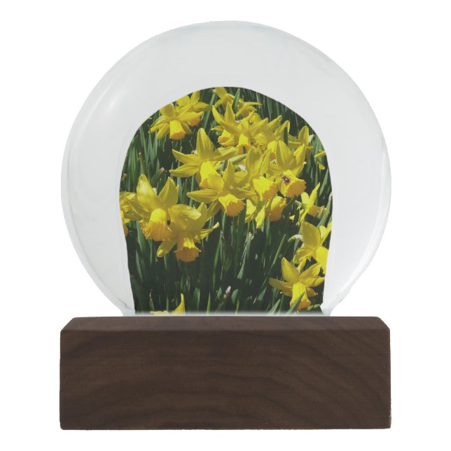 Boule À Neige Daffodiles Jaunes I Fleurs De Printemps Cheveux (Devant)