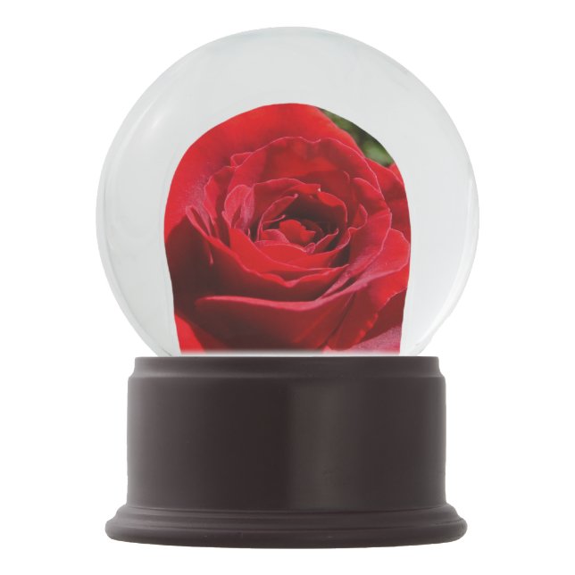 Boule À Neige Fleur rose rouge vif Belle florale (Devant)