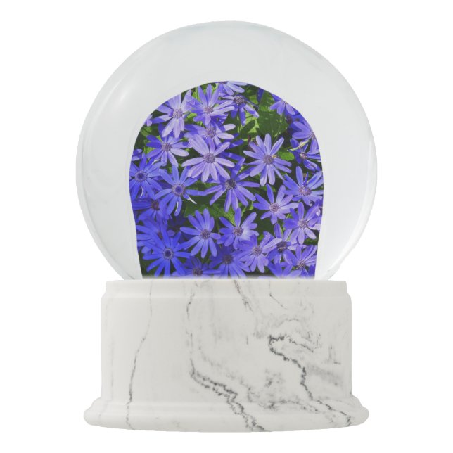 Boule À Neige Fleurs bleues à la marguerite Nature Photographie (Devant)