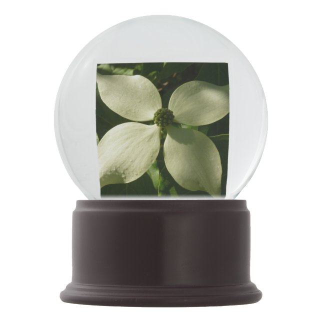 Boule À Neige Flore printanière du Dogwood illuminé (Devant)