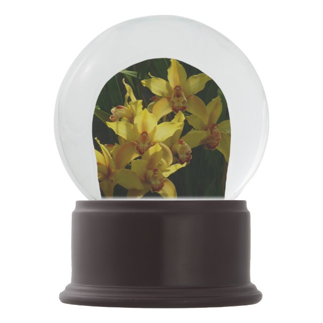 Boule À Neige Orchidées Jaunes Sunlit Floral (Dos)