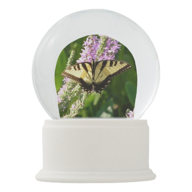 Boule À Neige Papillon Swallowtail sur Fleurs sauvages pourpres (Devant)