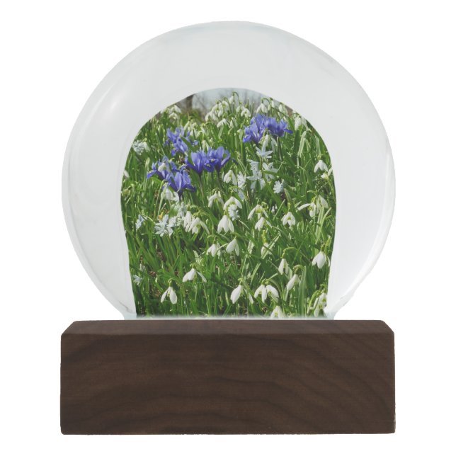 Boule À Neige Paysage des fleurs du début du printemps (Devant)