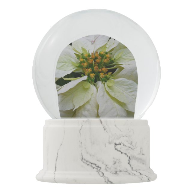 Boule À Neige Poinsettia Elegant Christmas Holiday Floral (Devant)