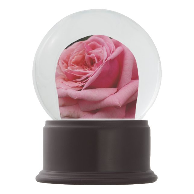 Boule À Neige Rose rose I Jolie photo florale (Devant)