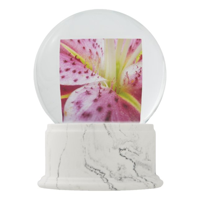 Boule À Neige Stargazer Lily brillant Magenta Floral (Devant)