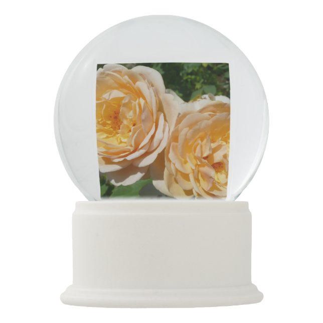 Boule À Neige Trio de Pêche Rose Floral (Devant)