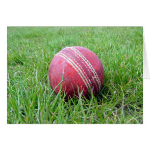 Boule de cricket