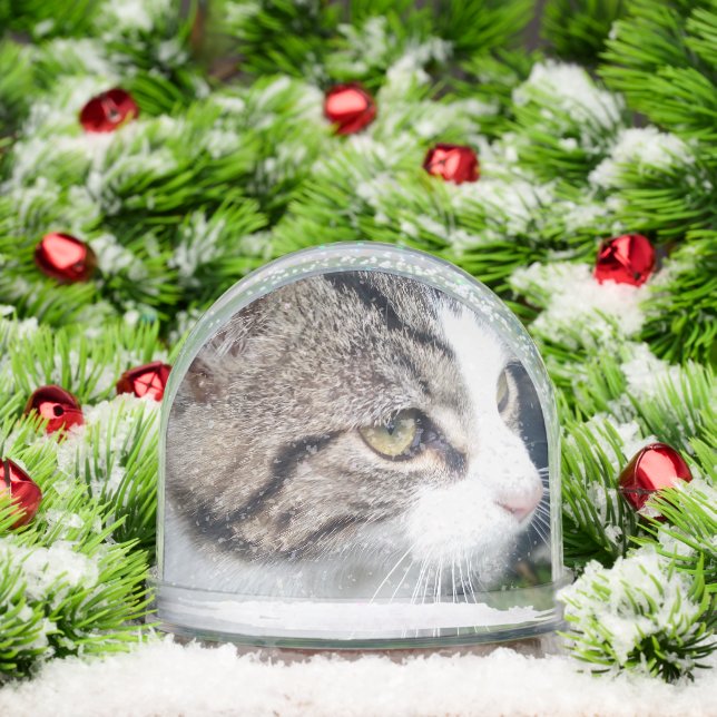 Boule de neige de Noël personnalisée avec photo d' (Noël)