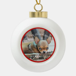 Boule de Noël de chien personnalisé Ornements de N