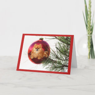 Boule de rouge de carte de Noël de Pomeranian
