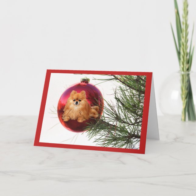 Boule de rouge de carte de Noël de Pomeranian (Devant)