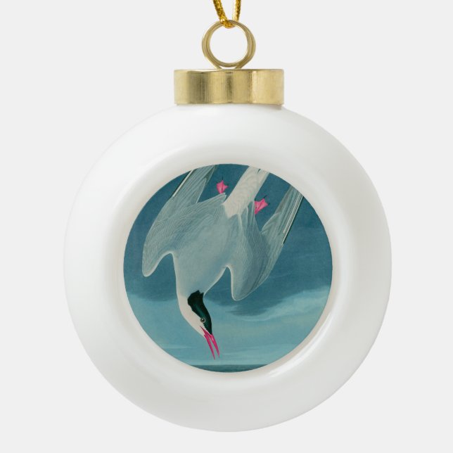 Boule En Céramique Arctic Tern Birds of America Audubon (Devant)