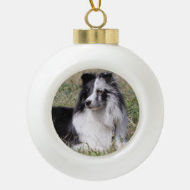 Boule En Céramique Bi Merle bleu Sheltie avec le visage de fente