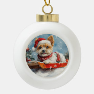 Boule En Céramique Biewer Terrier Chien en Luge Laissez Neiger Noël