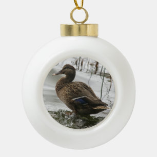 Boule En Céramique Canard gris sur la nuit du lac