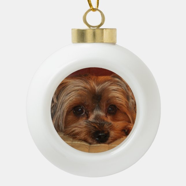 Boule En Céramique Chien de Yorkshire mignon Terrier Yorkie (Devant)