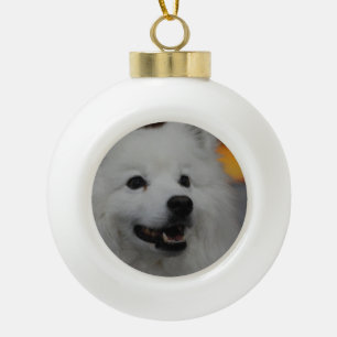Boule En Céramique Chien esquimau américain