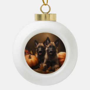 Boule En Céramique Chiots Berger Belge Délice d'Automne Citrouille