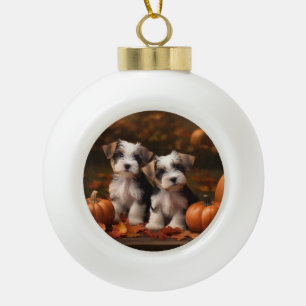 Boule En Céramique Chiots Biewer Terrier Automne Délice Citrouille