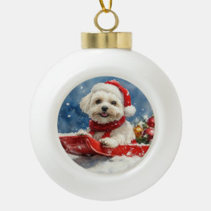 Boule En Céramique Coton De Tulear dans la boue Laisser passer la nei