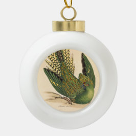 Boule En Céramique James Sowerby Parrot terrestre, Psittacus terrestr