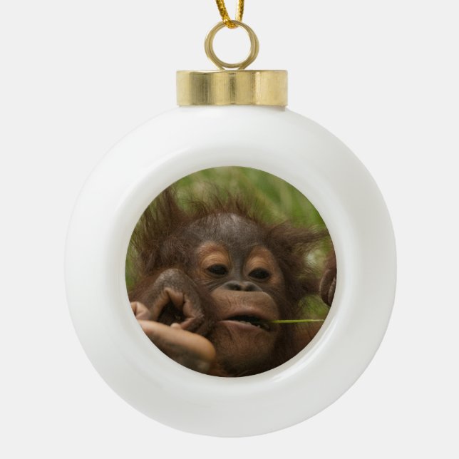 Boule En Céramique Orangutan Baby (Devant)