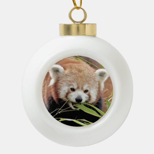 Boule En Céramique Ornement, noel, panda rouge. Panda roux. (Devant)