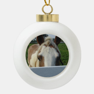 Boule En Céramique Palomino Cheval Derrière Clôture Jouant à Cache-Ca