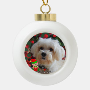 Boule En Céramique Photo de chien maltais personnalisé avec Elf migno