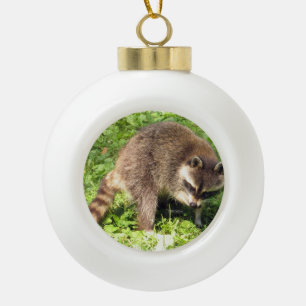 Boule En Céramique Raccoon