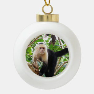 Boule En Céramique Singe au Costa Rica