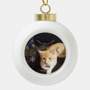 Boule En Céramique Texte de photo de chat, Personnaliser, Bonne année