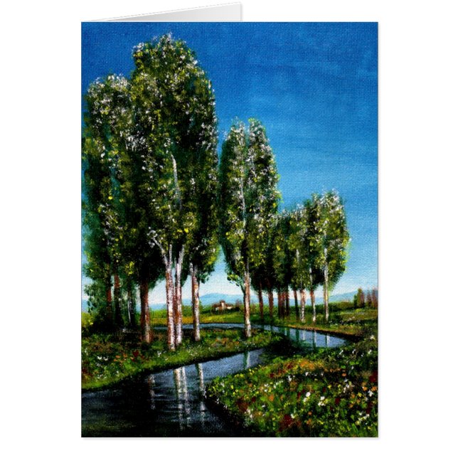BOULEAUX EN TOUSCANE (Devant)