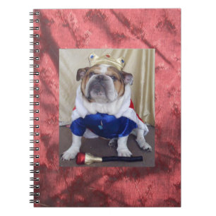 Bouledogue anglais habillé en tant que roi, carnet