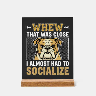 Bouledogue Drôle Socialiser Chien