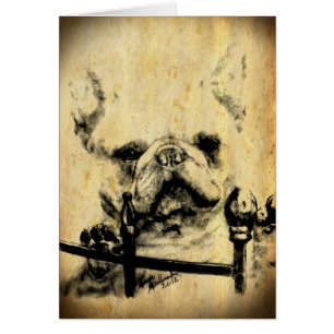 Bouledogue français ancien