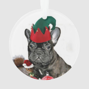 Bouledogue français de Noël